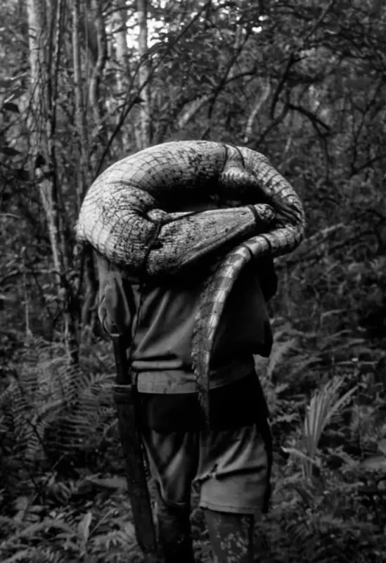 Al Oeste, en Zapata (2025) | Análisis audiovisual del documental de David Bim | CineFilm Landi camina por la ciénaga de Zapata en una escena del documental cubano “Entrada al Oeste” (2025), dirigido por David Bim.